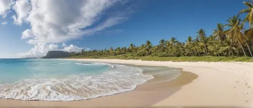 dream beach,tropical beach,beautiful beach,turquoise water,tropical sand,water,Photography,General,Natural