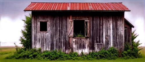 Old barn, rustic, wooden structure, weathered boards, rusty metal roof, vines crawling up walls, worn-out doors, aged windows, overgrown with weeds, morning fog, soft diffused light, panoramic view, c