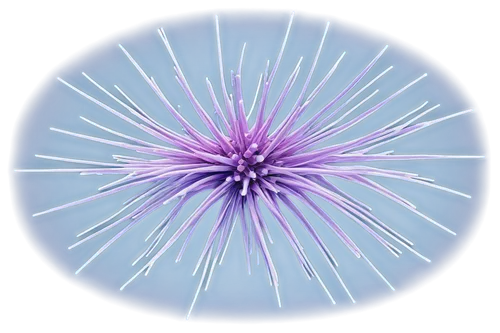 star anemone,crown chakra flower,cyanus cornflower,sea urchin,sea anemone,pappus,kirlian,cytoskeleton,centaurea,plasma ball,blue anemone,knapweed,netburst,blue chrysanthemum,magnete,crown chakra,flaccid anemone,spiny,cornflower,dandelion parachute ball,Art,Classical Oil Painting,Classical Oil Painting 03