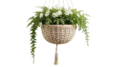 hanging basket,hanging plant,basket with flowers,hanging plants,flower pot holder,macrame,basket wicker,hanging decoration,herbal cradle,fern plant,wicker basket,flower basket,wooden flower pot,ostrich fern,vegetable basket,hanging willow,garden decor,ikebana,hanging geraniums,garden decoration,Unique,Design,Character Design