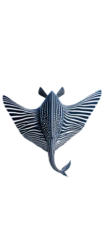 fish skeleton,zebrafish,blue stripe fish,hatchetfish,cardinalfish,blue angel fish,fish in water,angelfish,blue fish,generative,sailfish,remora,icefish,gradient mesh,fish tern,dartfish,guardfish,wavevector,butterfly fish,fishbone,Illustration,Retro,Retro 26