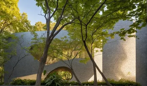 arches,archways,mausoleum ruins,urban park,arbor,3d rendering,render,caravanserai,viaducts,plant tunnel,tunnel of plants,renders,stone arch,3d render,landscaped,concrete plant,wall tunnel,half arch,garden design sydney,biopiracy,Photography,General,Realistic