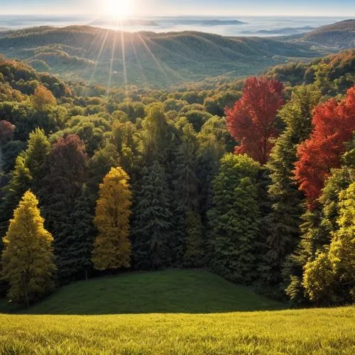 beech mountains,vermont,fall landscape,temperate broadleaf and mixed forest,aaa,colors of autumn,autumn mountains,temperate coniferous forest,fall foliage,autumn background,west virginia,larch forests,autumn landscape,the trees in the fall,ore mountains,deciduous forest,autumn forest,trees in the fall,autumn trees,bavarian forest,Common,Common,Natural