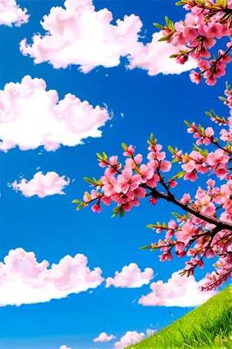 japanese sakura background,sakura background,sakura trees,spring background,sakura tree,springtime background,sakura branch,cherry blossom tree,cherry blossoms,cherry trees,cherry tree,sakura blossoms,sakura cherry tree,cherry blossom,hanami,the cherry blossoms,takato cherry blossoms,blooming trees,blossom tree,sakura blossom,Conceptual Art,Graffiti Art,Graffiti Art 09