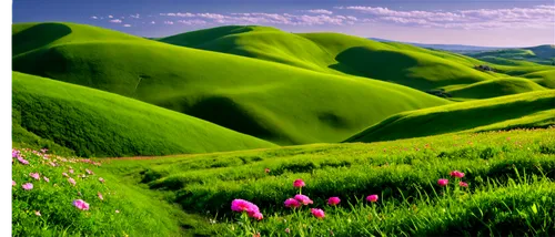 green landscape,grasslands,grassland,green meadow,landscape background,baghlan,green fields,pink grass,faryab,dune landscape,background view nature,bamyan,nature of mongolia,rolling hills,castelluccio,nature landscape,mountainous landscape,hills,landscape nature,meadow landscape,Conceptual Art,Sci-Fi,Sci-Fi 19