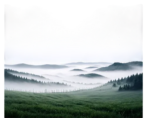 foggy landscape,landscape background,foggy forest,foggy mountain,forest background,sea of fog,dense fog,coniferous forest,nature background,mist,salt meadow landscape,fog banks,fog,background vector,ground fog,wave of fog,fantasy landscape,mists,forest landscape,small landscape,Illustration,Abstract Fantasy,Abstract Fantasy 02