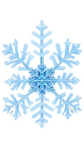 snowflake background,christmas snowflake banner,snow flake,blue snowflake,snowflake,white snowflake,weather icon,snowflakes,wreath vector,gold foil snowflake,christmas snowy background,ice crystal,winter background,fire flakes,snowflake cookies,flakes,red snowflake,snow drawing,ice,icemaker,Photography,Black and white photography,Black and White Photography 13