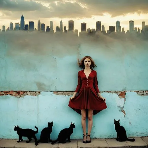 bourdin,hooverphonic,hilarie,bareilles,feist,cats on brick wall,Photography,Artistic Photography,Artistic Photography 14