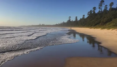 Imagine a peaceful morning run along a scenic beach. Describe the runner's experience and the beauty of the surroundings.,ruby beach,sunrise beach,northeast beach,pacific coastline,greens beach,beach 