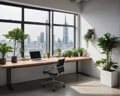 modern office,office desk,blur office background,working space,furnished office,creative office,offices,hanging plants,house plants,desk,conference room,money plant,workspaces,bamboo plants,office,work space,green plants,modern decor,steelcase,houseplants,Illustration,Realistic Fantasy,Realistic Fantasy 08