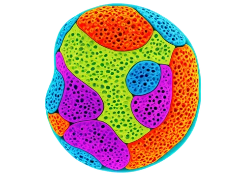 Microscopic view, colorful cells, detailed nucleus, mitochondria, endoplasmic reticulum, ribosomes, lysosomes, centrioles, cilia, flagella, bacterial cells, plant cells, animal cells, fluorescence mic