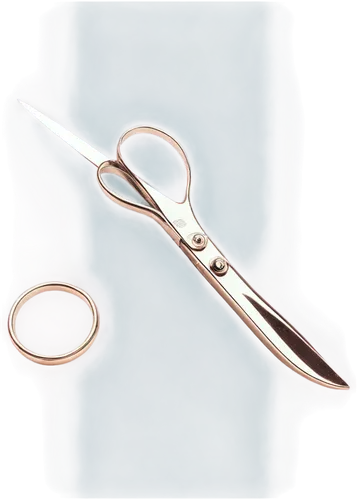 pair of scissors,fabric scissors,forceps,scalpels,scissors,tweezers,tweezer,shears,scalpel,bamboo scissors,dilator,cosmetic brush,dissector,the scalpel,sewing needle,razor ribbon,microsurgeon,brashears,circumcisions,acromion,Photography,Documentary Photography,Documentary Photography 13