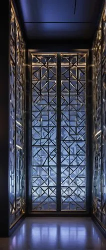 metallic door,elevators,glass wall,steel door,art deco background,glass facade,lattice window,levator,lattice windows,stargates,glass blocks,ornamental dividers,elevator,doors,glass tiles,columbarium,columbaria,diamond plate,hinged doors,hypercube,Illustration,Retro,Retro 02