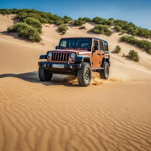 desert run,jeep rubicon,desert safari dubai,desert safari,dubai desert safari,sahara desert,Photography,General,Realistic