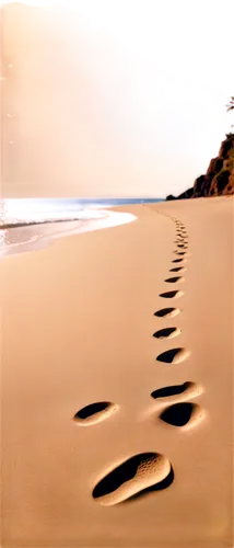 footprints,footprints in the sand,footstep,footsteps,sand paths,tracks in the sand,sand ripples,footprint,foot prints,traces,footprint in the sand,walk on the beach,sand waves,baby footprints,sand seamless,sand pattern,bird footprints,sand road,foot steps,lockstep,Unique,3D,3D Character