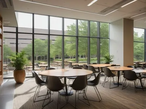 conference room,lecture room,meeting room,daylighting,board room,cafeteria,conference table,modern office,lunchroom,study room,lecture hall,school design,oticon,zaal,bobst,canteen,ideacentre,technion,shenzhen vocational college,staffroom,Conceptual Art,Daily,Daily 30