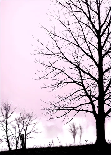 purple landscape,tree silhouette,old tree silhouette,lilac tree,purpleabstract,isolated tree,leafless,garden silhouettes,bare trees,violet colour,halloween bare trees,arbre,light purple,pale purple,purple frame,deer silhouette,purple pageantry winds,lone tree,copse,lilac arbor,Illustration,American Style,American Style 13