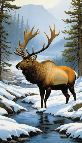 The Madison River comes alive with the presence of a magnificent bull elk, a true symbol of wilderness.,elk,bull elk resting,elk reposing on lateral moraine,elk bull,bull elk on lateral moraine,bull m