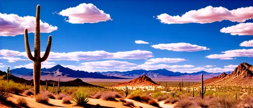 desert desert landscape,desert landscape,desert background,arizona,sonoran,sonoran desert,saguaro,mesquite flats,flowerful desert,arid landscape,organ pipe cactus,desert,the desert,capture desert,cartoon video game background,desert plants,arid land,az,cactus digital background,organ pipe,Conceptual Art,Fantasy,Fantasy 25