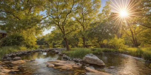 acequia,araluen,mountain spring,jordan river,crescent spring,thermal spring,murrumbidgee,water spring,landscape designers sydney,gundagai,kalamunda,tuggeranong,echuca,catarpe valley,cooma,flowing creek,south australia,mudgee,myrtleford,faulconbridge,Common,Common,Photography