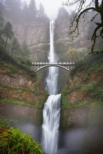 multnomah falls,oregon,bridal veil fall,salt creek falls,devil's bridge,united states national park,rainbow bridge,washington state,waterfalls,water falls,cascading,vancouver island,bridal veil,falls,water fall,mckenzie river,long exposure,scenic bridge,ash falls,bond falls,Illustration,Retro,Retro 10