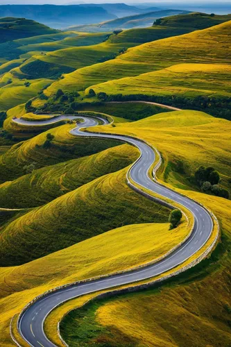 winding roads,winding road,rolling hills,aaa,winding,nature of mongolia,mountain highway,tuscany,mountain road,the mongolian-russian border mountains,roads,the mongolian and russian border mountains,meanders,landform,meander,hills,alpine drive,mongolia eastern,long road,alcan highway,Photography,Documentary Photography,Documentary Photography 33