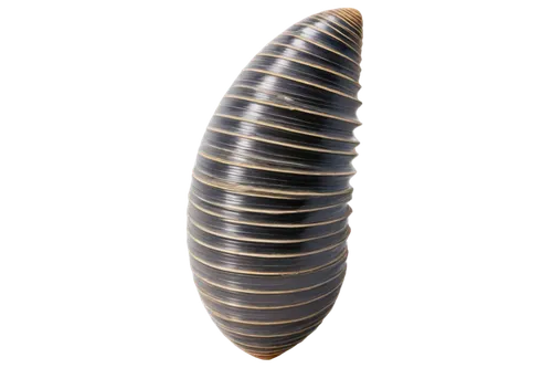 stereocilia,pilgrim shell,hyperboloid,seedpod,wurm,paraboloid,trilobyte,spiny sea shell,chrysolepis,millipede,nikau,sandworm,mitochondrion,pupae,nautiloid,pupal,spiral book,cone,trilobite,neoproterozoic,Illustration,Japanese style,Japanese Style 08