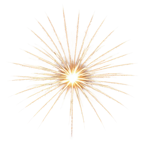 sunburst background,sunstar,gold spangle,spirography,3-fold sun,missing particle,sunburst,christ star,sea-urchin,fireworks art,spiny,revolving light,firework,fireworks rockets,magnetic field,apophysis,hawkbit,last particle,pyrotechnic,sea urchin,Photography,General,Realistic