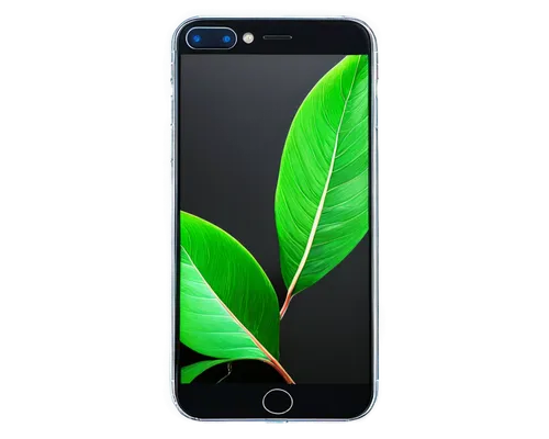 leaf background,leaves case,leaf green,tropical leaf,green leaf,spring leaf background,green wallpaper,chlorophyll,jungle leaf,green background,green leaves,tropical leaf pattern,apple iphone 6s,iphone 6s plus,photosynthetic,black bamboo,fig leaf,mape leaf,tree leaf,green plant,Photography,Artistic Photography,Artistic Photography 02