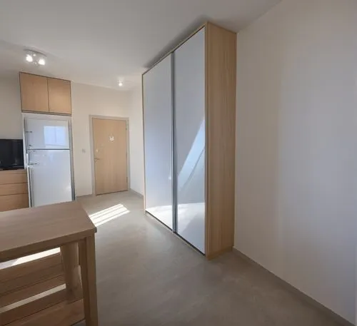 sliding door,modern room,room divider,walk-in closet,hallway space,hinged doors,shared apartment,window blind,apartment,recessed,japanese-style room,search interior solutions,one-room,3d rendering,laminate flooring,laminated wood,daylighting,sky apartment,home door,modern kitchen interior