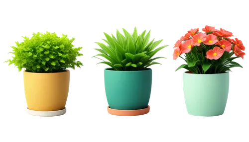 potted flowers,plant pots,flower pots,flowerpots,flower pot holder,potted plants,plants in pots,terracotta flower pot,flower vases,plant pot,wooden flower pot,flower pot,flowerpot,flowers png,container plant,garden pot,vases,mixed cup plant,house plants,funeral urns,Art,Classical Oil Painting,Classical Oil Painting 10