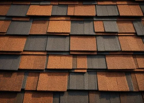 roof tiles,roof tile,slate roof,shingled,tiled roof,roof panels,terracotta tiles,house roofs,roof plate,house roof,clapboards,shingles,shingling,clay tile,thatch roof,straw roofing,roofing,the old roof,wooden roof,reed roof,Illustration,Abstract Fantasy,Abstract Fantasy 18