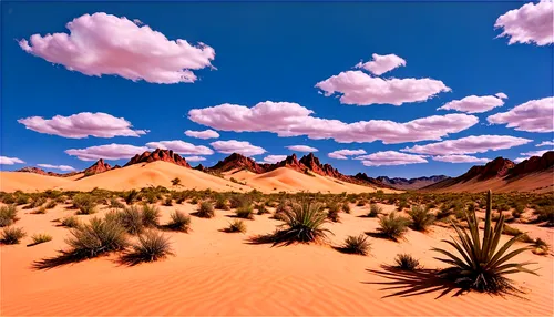 desert desert landscape,desert landscape,desert background,virtual landscape,desert,capture desert,arid landscape,flowerful desert,the desert,dune landscape,desertlike,argentina desert,sandplains,dunes,desert plants,semidesert,san dunes,cartoon video game background,mesquite flats,deserto,Art,Classical Oil Painting,Classical Oil Painting 16