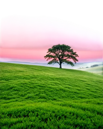 isolated tree,lone tree,landscape background,nature background,lonetree,small tree,kericho,background view nature,arbre,green landscape,green tree,tree,a young tree,free background,3d background,a tree,purple landscape,nature landscape,smaller tree,virtual landscape,Conceptual Art,Graffiti Art,Graffiti Art 11