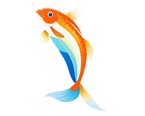 koi,dartfish,karp,guardfish,playfish,koi fish,fish,goatfish,snapfish,finfish,artemia,fisch,peixe,swordtail,fishkind,fish in water,red fish,wallfisch,squirrelfish,goldfish,Illustration,Vector,Vector 01