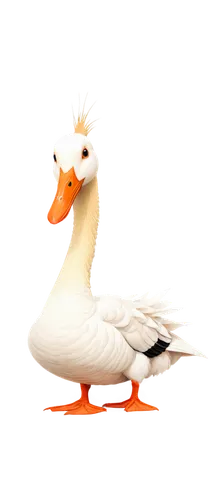 rockerduck,duck,gooseander,duck bird,bird png,dolan,lameduck,brahminy duck,ornamental duck,quacker,quack,quacking,fowl,megapode,the duck,gwe,orange gull,whitelocke,easter goose,goose,Illustration,Realistic Fantasy,Realistic Fantasy 44