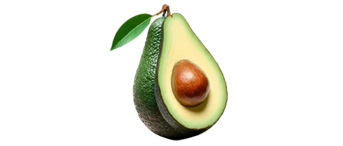 palta,avocado,avacado,sliced avocado,avocation,avo,avocational,avos,avocados,avocat,avocations,avowing,avoirdupois,asparagaceae,guacamole,avoda,hass avocados,seedpod,avows,alvorada,Photography,Fashion Photography,Fashion Photography 16