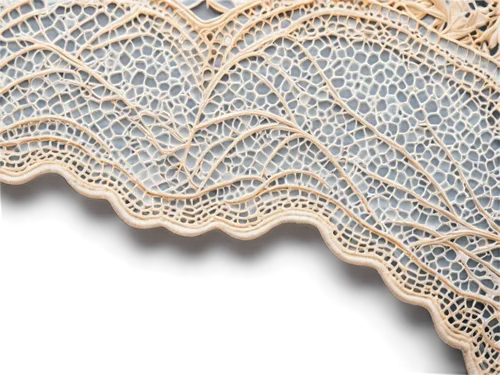 blue sea shell pattern,topography,lace border,mermaid scales background,fluvial landforms of streams,paper lace,cockscomb,lace borders,brain coral,wave pattern,paisley pattern,doily,lace digital paper,gold foil lace border,japanese wave paper,mandelbulb,meanders,fabric texture,vintage lace,royal lace,Illustration,Realistic Fantasy,Realistic Fantasy 15