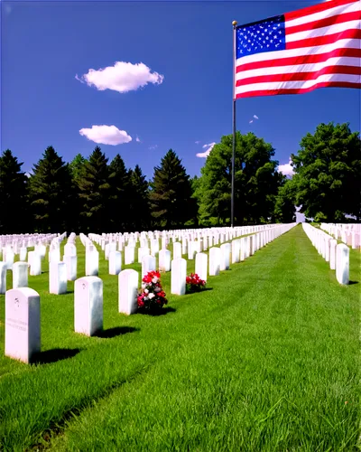 arlington cemetery,memorial day,military cemetery,arlington,war graves,central cemetery,soldier's grave,cemetery,honoring,unknown soldier,nonveterans,remembrance,immemorial,reinterment,remembered,interred,gravesites,memorials,reinterred,commemorates,Photography,Documentary Photography,Documentary Photography 05