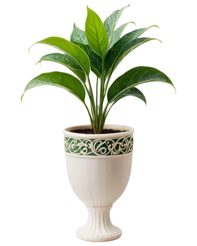 potted palm,potted plant,plant pot,androsace rattling pot,terracotta flower pot,money plant,peace lily,garden pot,pot plant,wooden flower pot,houseplant,flowerpot,ornamental plant,container plant,china pot,flower pot,areca nut,funeral urns,palm lily,rank plant,Illustration,Retro,Retro 13