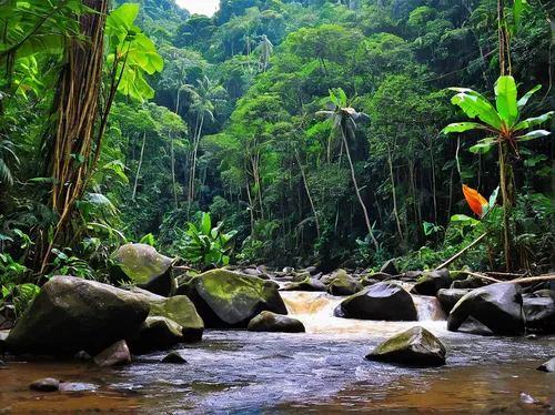 valdivian temperate rain forest,borneo,rain forest,rainforest,tropical and subtropical coniferous forests,natural reserve,karst landscape,riparian forest,tropical jungle,herman national park,background view nature,river landscape,green trees with water,natural landscape,erawan waterfall national park,natural scenery,nature landscape,sumatran,mountain stream,river cooter,Conceptual Art,Fantasy,Fantasy 09