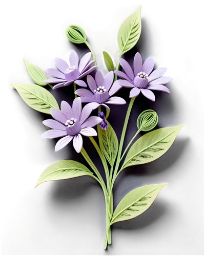 soapwort,brodiaea,african lily,senetti,flowers png,jasmine-flowered nightshade,starflower,illustration of the flowers,nightshade plant,tradescantia,flower illustration,cow flower,gentians,grape-grass lily,petite bellflower,spider flower,cartoon flower,purple flower,campanula,cardamine,Unique,Paper Cuts,Paper Cuts 09