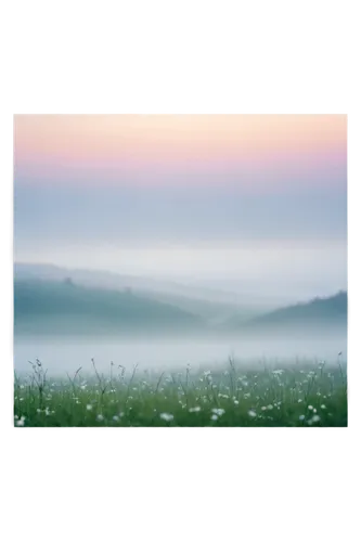 foggy landscape,meadow in pastel,landscape background,mists,mist,mists over prismatic,sea of fog,morning mist,dense fog,meadow landscape,pastel wallpaper,veil fog,fog banks,ground fog,nature background,dusk background,fogged,monets,abstract air backdrop,morning fog,Photography,Documentary Photography,Documentary Photography 31