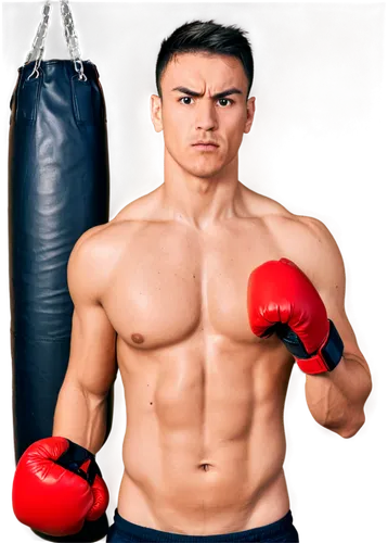 lethwei,bodybuilding supplement,striking combat sports,boxing equipment,combat sport,professional boxing,kickboxing,shoot boxing,muay thai,marine corps martial arts program,professional boxer,mixed martial arts,jeet kune do,mma,boxing,boxing glove,boxer,boxing gloves,amnat charoen,sanshou,Illustration,Japanese style,Japanese Style 04