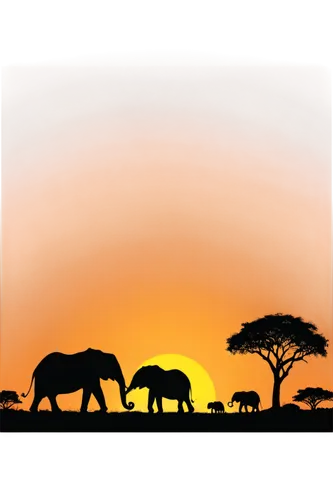 serengeti,tsavo,african elephants,pejeta,zambezian,animal silhouettes,savane,africa,elephants,elephant herd,cartoon elephants,afrique,tuskers,javani,east africa,samburu,african elephant,isiolo,africano,safari,Illustration,Vector,Vector 01