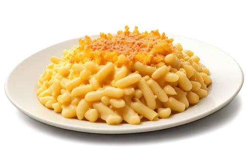 macaroni and cheese,macaroni,rotini,macaroni casserole,cavatappi,cheese noodles,grated cheese,fusilli,spaetzle,kraft,strozzapreti,pasta,spätzle,italian pasta,conchiglie,passatelli,panko,creamed corn,orzo,penne,Conceptual Art,Daily,Daily 18