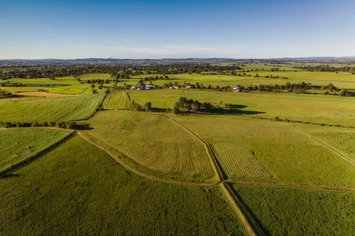 grain field panorama,green fields,dji agriculture,panorama from the top of grass,farmland,stubble field,drone image,farmlands,straw field,green meadows,earthworks,aerial photography,barley field,pastu