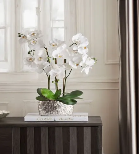 white magnolia,white orchid,flower arrangement lying,white lilac,flower arrangement,a sprig of white lilac,flower vase,flower vases,cape jasmine,white tulips,moth orchids,floral arrangement,white anemones,white jasmine,white flowers,spring white,white blossom,white lily,paperwhites,white flower cherry