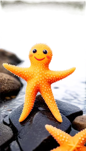 sea star,starfish,garrison,starfishes,orang,defence,pisaster,starro,echinodermata,echinoderm,seastar,defend,nautical star,echinoderms,hannstar,ninja star,pulpo,fun octopus,cleander,starlauro,Art,Artistic Painting,Artistic Painting 37