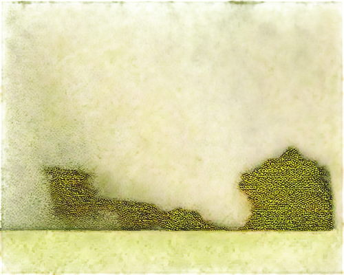 yellow wallpaper,birds abstract,veil yellow green,abstract backgrounds,abstract gold embossed,yellow crown amazon,background abstract,chameleon abstract,yellow background,tea still life with melon,watercolour texture,pine i am looking for a good face,scan strokes,cactus digital background,gold paint strokes,finch in liquid amber,flora abstract scrolls,abstract air backdrop,gold paint stroke,tea leaves,Art,Artistic Painting,Artistic Painting 38